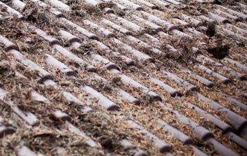 Walnuttree Green roof cleaning companies